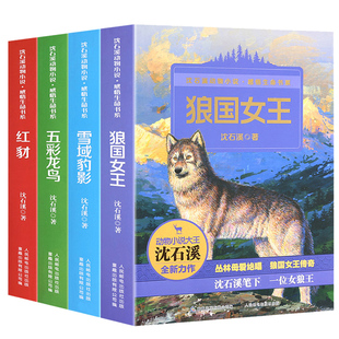 沈石溪动物小说全集感悟生命书系全套共4册狼国女王红豺五彩龙鸟雪域豹影 7-12-15岁儿童文学中小学生课外阅读物少儿课外读物
