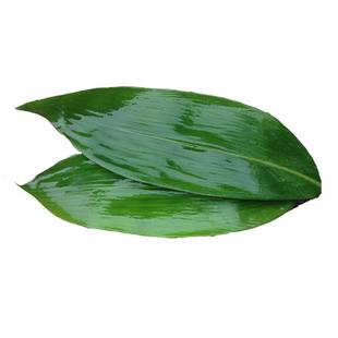 天然香草咸水草马莲草包粽子粽绳扎蟹草绳捆扎肉豆皮包粽子线专用