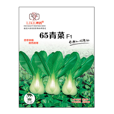 上海青菜种籽小青菜种子