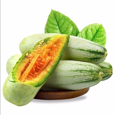 羊角蜜甜瓜苗秧苗香瓜绿宝石冰糖子哈密瓜嫁接高产蔬菜苗大全春季