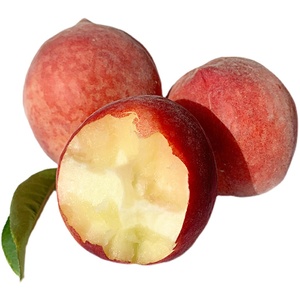 湖北随州新鲜胭脂红桃红血桃脆甜朱砂红猪血红毛桃子水果当季5斤