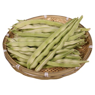 特长白玉108芸豆种子大全芸豆种籽白不老来少豆四季菜豆蔬菜铁罐