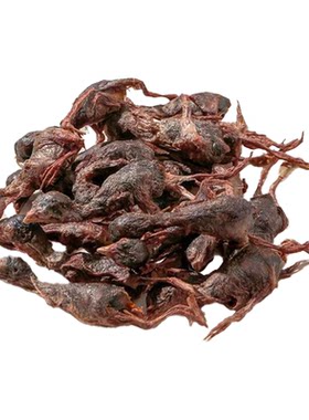 鹌鹑冻干猫咪零食狗零食猫咪宠物训练奖励柯基比熊磨牙棒营养美味
