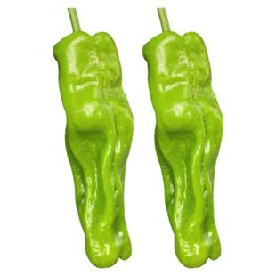 薄皮辣椒种子种籽孑苗大全菜苗泡椒蔬菜籽种大全秧苗超辣本地特辣