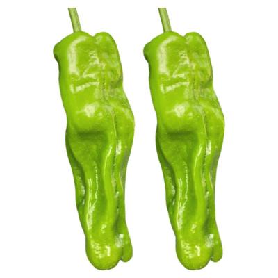 薄皮辣椒种子泡椒四季