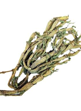 景迈山茶农野生古树包邮