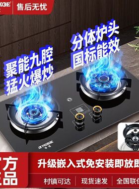 半球双灶分离炉头国标灶具煤气灶家用定时台嵌式液化气天然气猛火