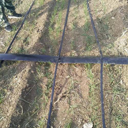 贴片式滴灌带农业大棚蔬菜均匀灌溉节水滴灌贴片滴灌带双孔单孔管