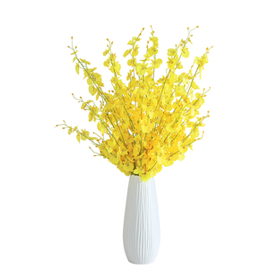 欧式轻奢 柠檬黄 新鲜跳舞兰鲜花 文心兰花鲜 北京花卉市场直批