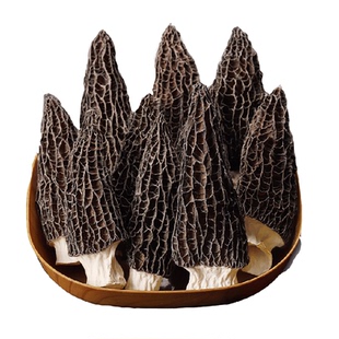 云南特级羊肚菌礼盒头茬非新鲜野生菌菇汤料包煲汤干货食材特产