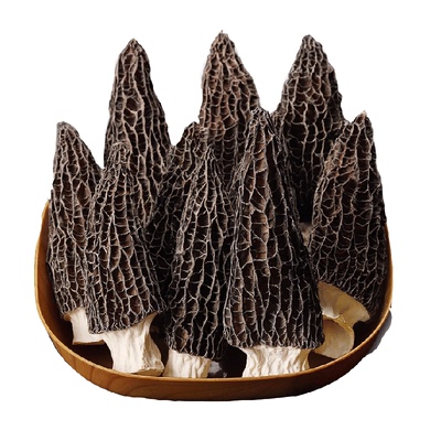 云南特级羊肚菌干货头茬剪柄食材