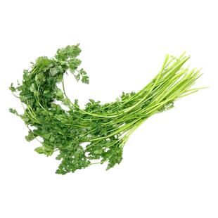 【沁蕊】西餐香料 细叶芹  雪维菜 有喙欧芹 新鲜香料  100g