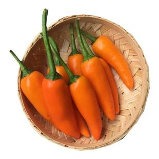 冰冻永安黄椒特辣尖椒黄福建超辣魔鬼小米非新鲜变态辣水福鼎肉片