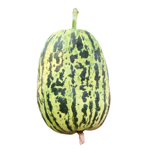 星甜三十三号甜瓜种子双星甜瓜种籽花皮甜瓜种孑超甜夏季四季苗秧