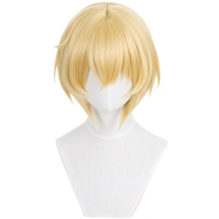 ND家】埃癸斯 女神异闻录3 角色款cos假发 中分头皮顶