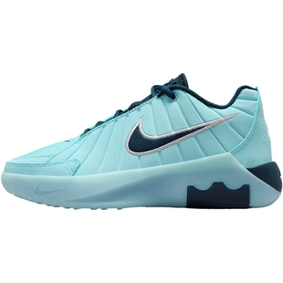 NIKE耐克大童詹姆斯LEBRON WITNESS IX运动训练篮球鞋HV2270-401