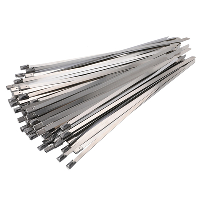 304不锈钢自锁扎带捆扎固定绑带