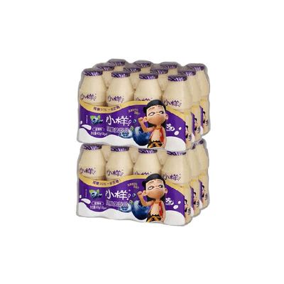 小样儿童乳酸菌