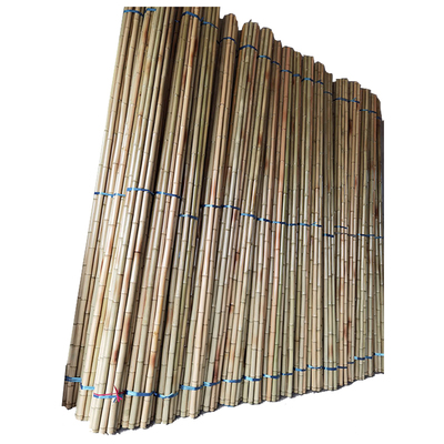 防腐竹竿碳化竹竿旗杆白竹