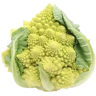 宝塔菜花椰菜蔬菜种子苗过年籽种蔬菜种籽秧特色菜花花菜孑菜籽