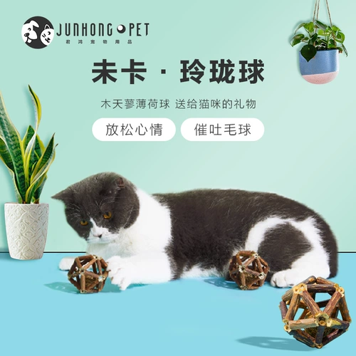 Прорезыватель, игрушка, кот, популярно в интернете, можно грызть, избавление от скуки