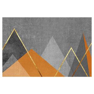 免洗可擦入户门地垫进门门口脚垫2025新款门垫防滑PVC可裁剪地毯