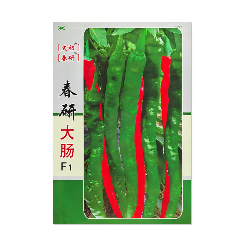 春研大肠辣椒种子羊角椒