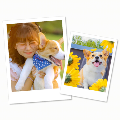 柯达拍立得照片冲印打印lomo冲洗