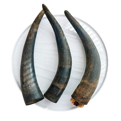 狗狗零食风干牦牛角柯基金毛