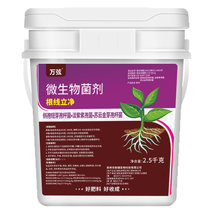 根线虫专用药淡紫紫孢菌大姜番茄辣椒农用大棚果树根结线虫专用药