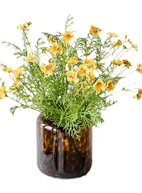 仿真花室内客厅雏菊波斯菊