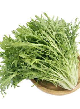 千牛优福苦叶生菜沙拉食材新鲜菜