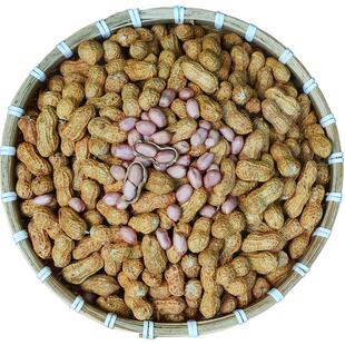 生花生带壳 新鲜晒干2025年5斤薄壳农家太阳晒干粉红皮江西新花生