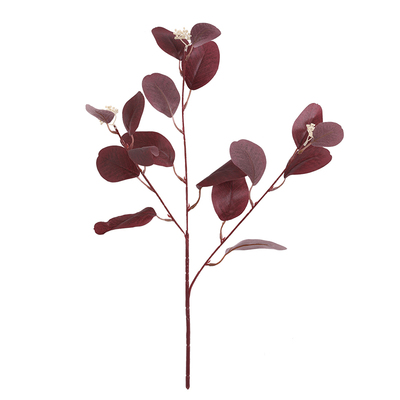 仿真植物尤加利桉树叶