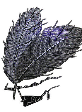 广州天和烫图羽毛新款服装辅料