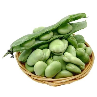 新鲜蚕豆云南口感鲜嫩饱满多汁