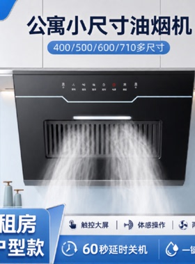 新飞小尺寸油烟机厨房家用侧吸窗式抽油烟机小型出租屋公寓大吸力