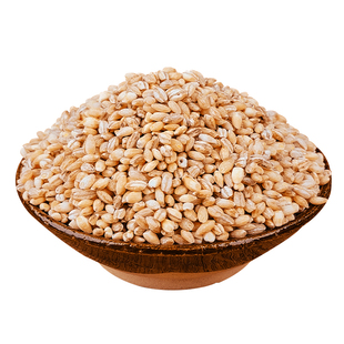 东北大麦米新货脱壳生麦粒麦仁品质粗粮去皮麦子五谷杂粮