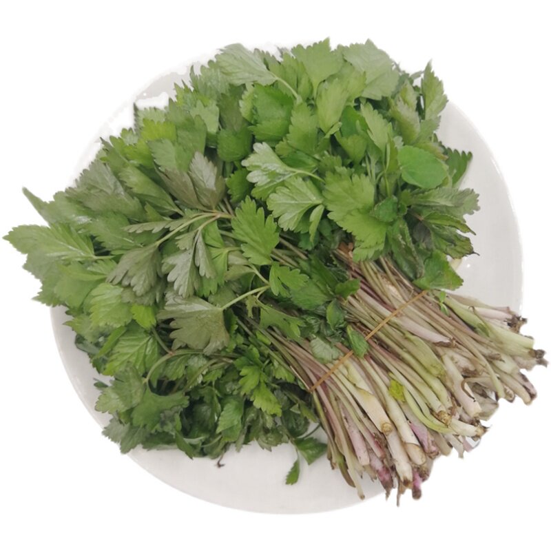 长白山冷冻野菜山芹菜产地发货