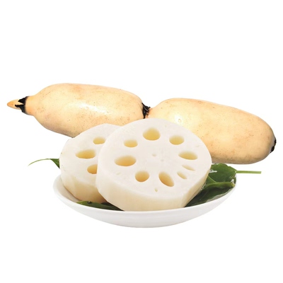 洪湖粉藕煲汤莲藕新鲜现挖