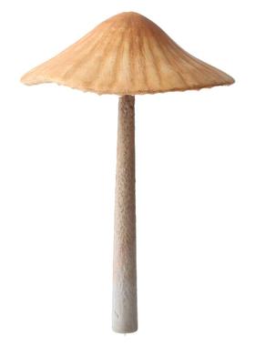 仿真蘑菇摆件户外造景装饰品