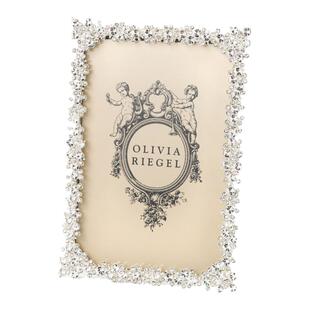 现纽约下城公园进口oliviariegel玛格丽特公主水晶切割镀银相框