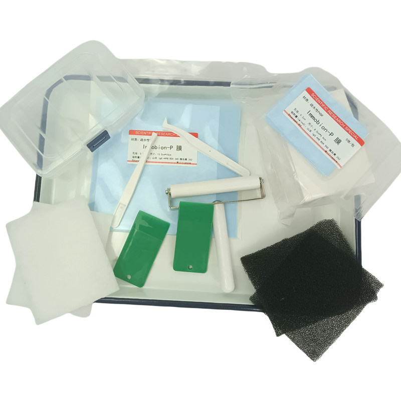 促销Western转膜滚轮免疫印迹WB滚子切胶启胶铲电泳转印镊子滤纸