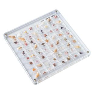 贝壳收纳盒磁吸亚克力相框海螺展示盒透明海边装海星标本收集盒子