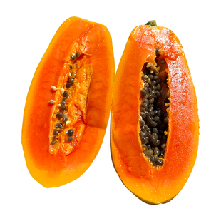 农友红妃木瓜种子进口杂交种特大高产红心木瓜种籽籽水果木瓜种孑