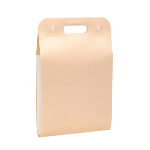 得力试卷收纳整理神器风琴文件夹初中生专用大容量13层卷子分类收纳袋手提按扣文件袋多层防水小学生资料夹子