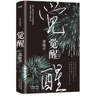 当当网 觉醒（第十届茅盾文学奖、热映电视剧《人世间》原著作者梁晓声作品）精装版