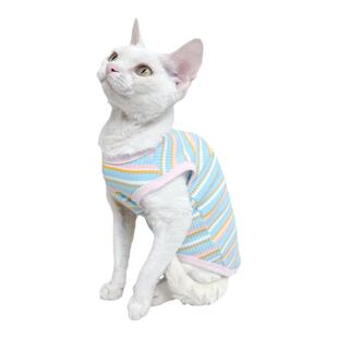 斯芬克斯无毛猫德文猫衣服纯棉弹力背心全棉防过敏柔软舒适矮脚