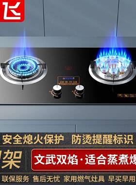 新飞燃气灶双灶家用煤气灶具炉具天然气液化气台嵌两用蒸煮爆炒