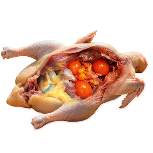 500天带蛋黄油老母鸡纯土鸡笨鸡走地柴鸡农家散养冷冻整鸡包邮